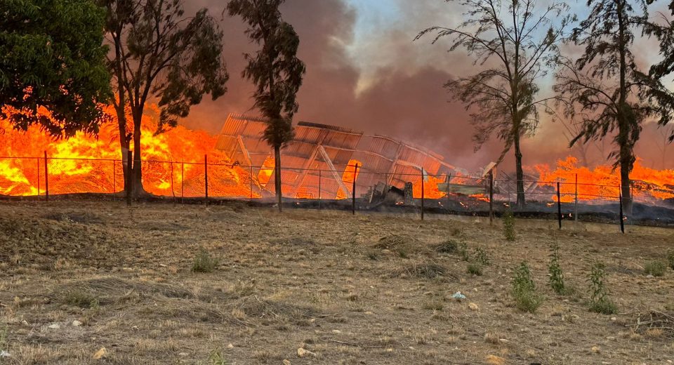 incendio-aserradero